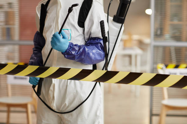 Professional Sewage Cleanup technician working in Jamestown, NY